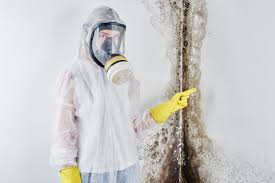 Reliable Laplace, LA Mold Prevention & Removal  Solutions